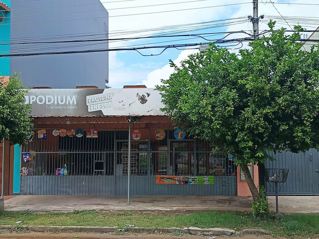 Grocery La Canasta Familiar, Santa Cruz de la Sierra, photo