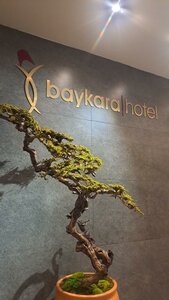 Гостиница Байкара Отель