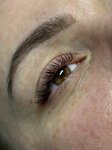 Moreva_Lash (Mira Street, 12), eyebrow and eyelash salon