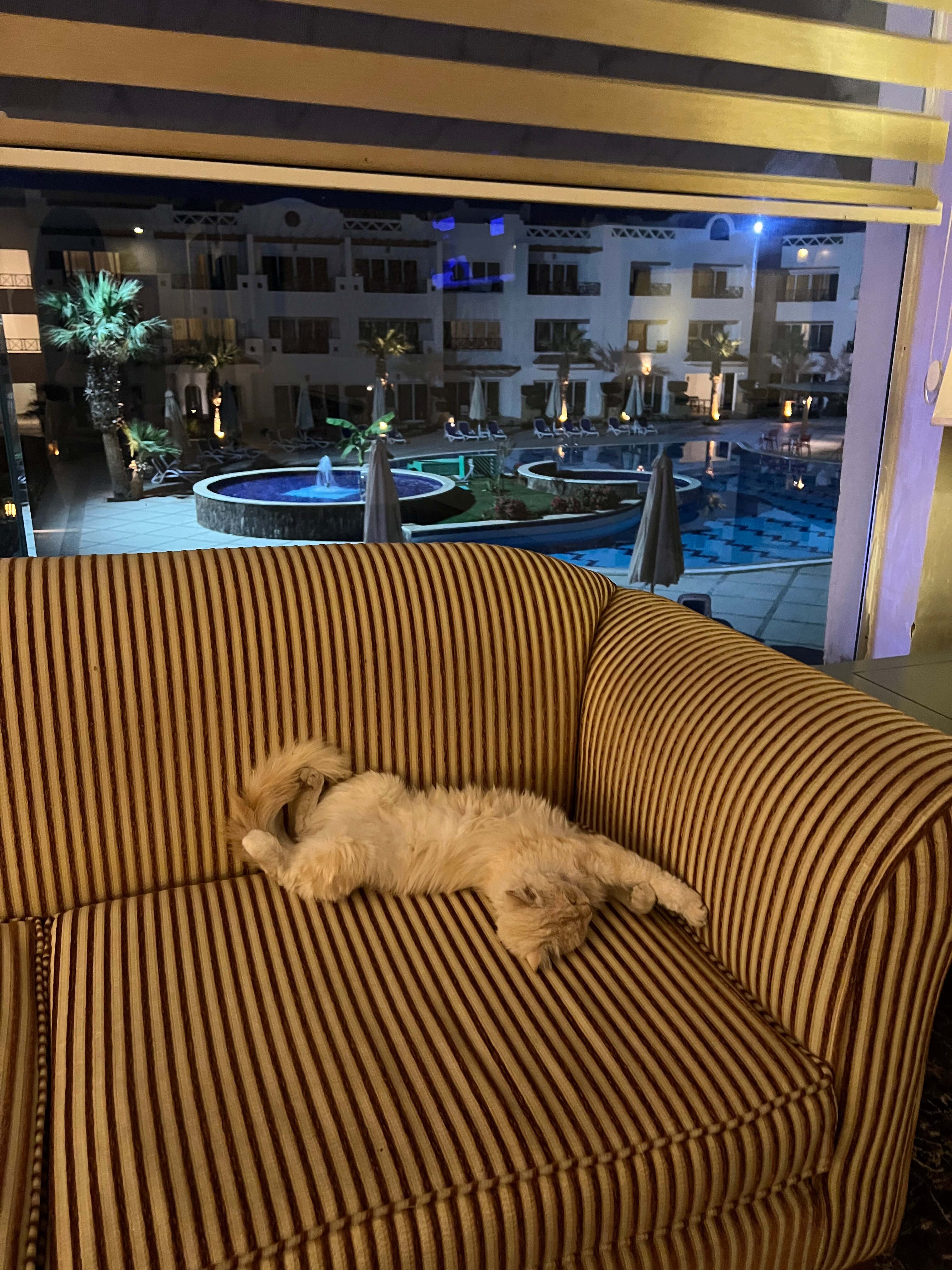 Фото Old Vic Sharm Resort