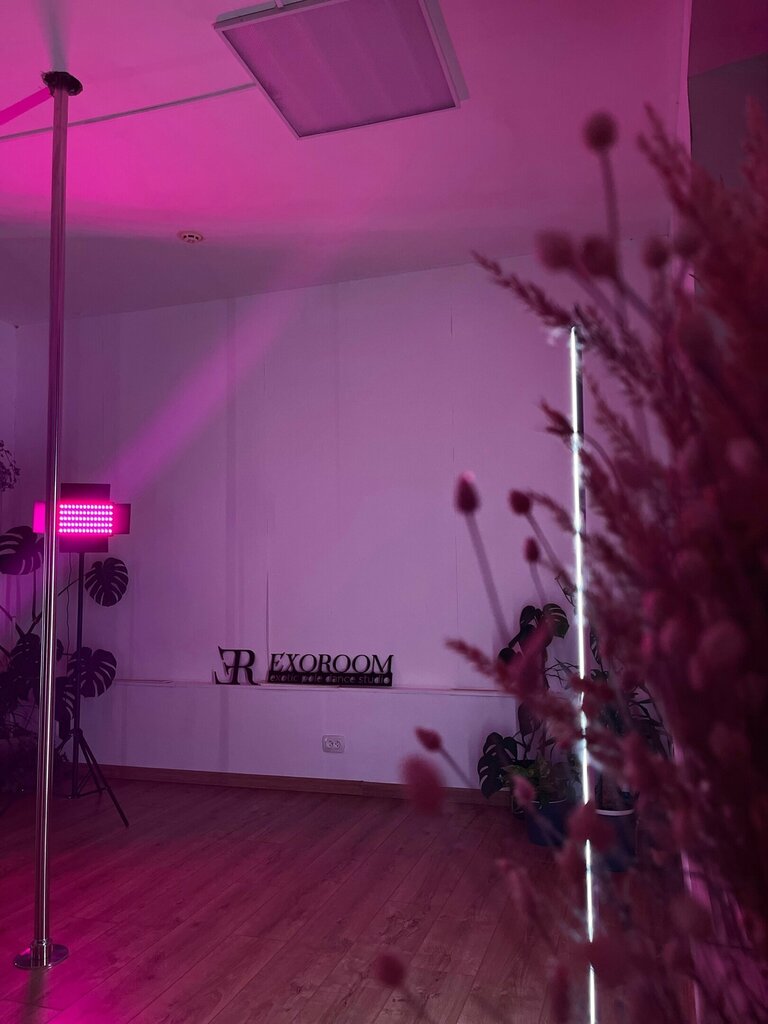 Dance school Exoroom, Tula, photo