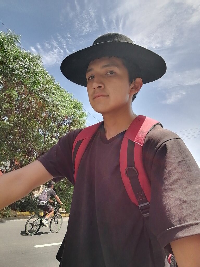 Bus transportation Bus Terminal Parking, La Paz, photo