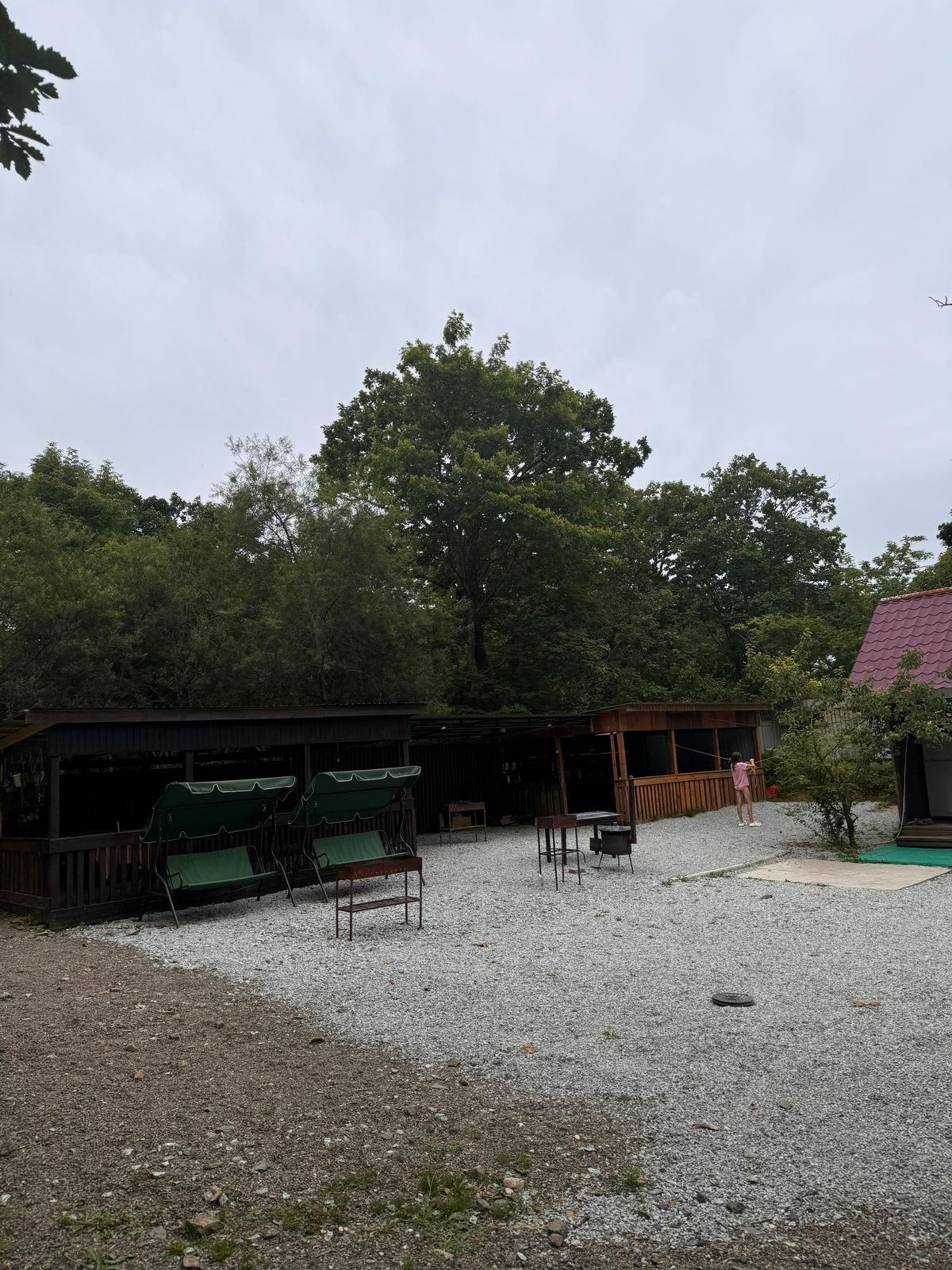 Фото Солнечная