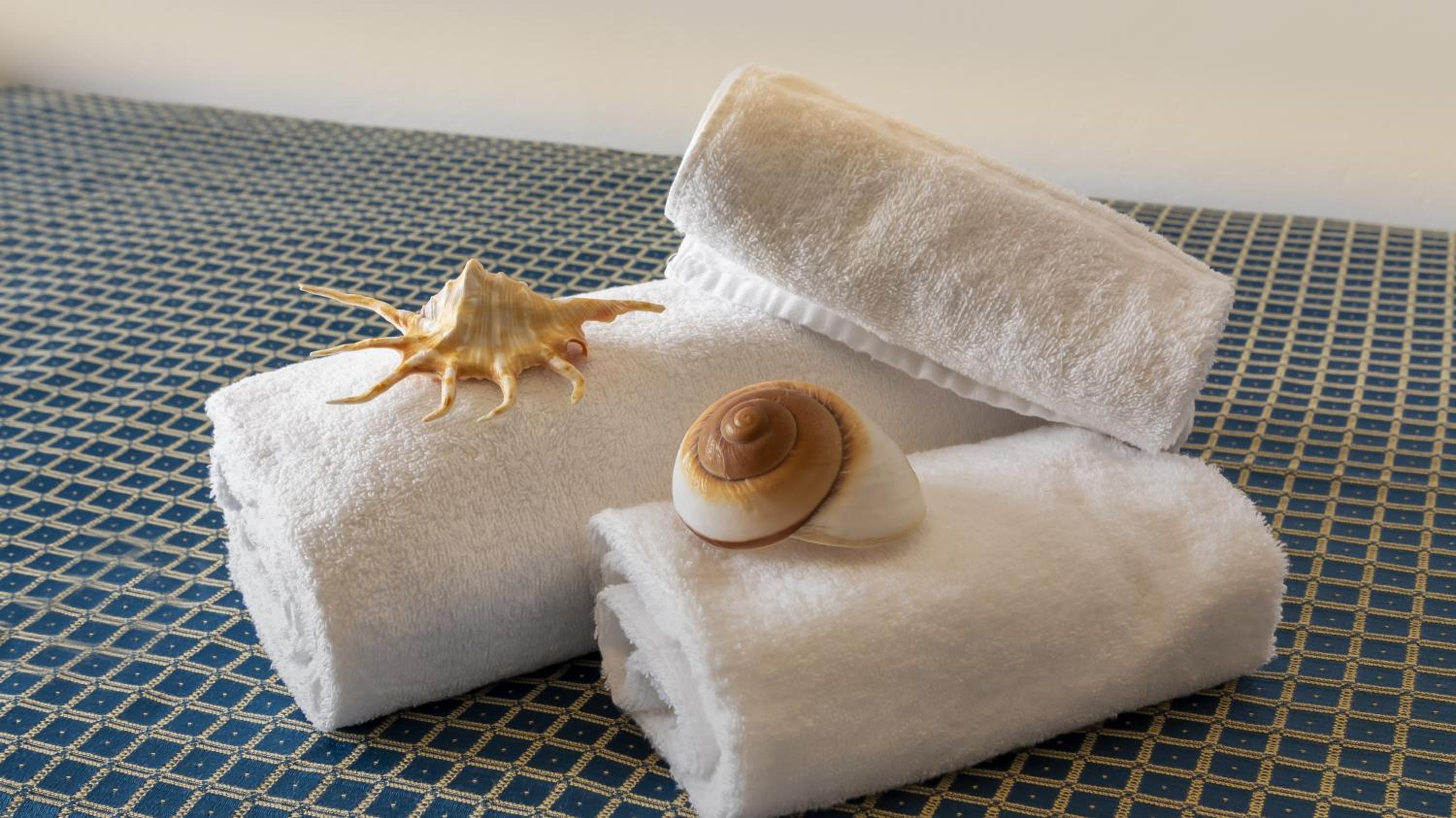 Фото Hotel President's