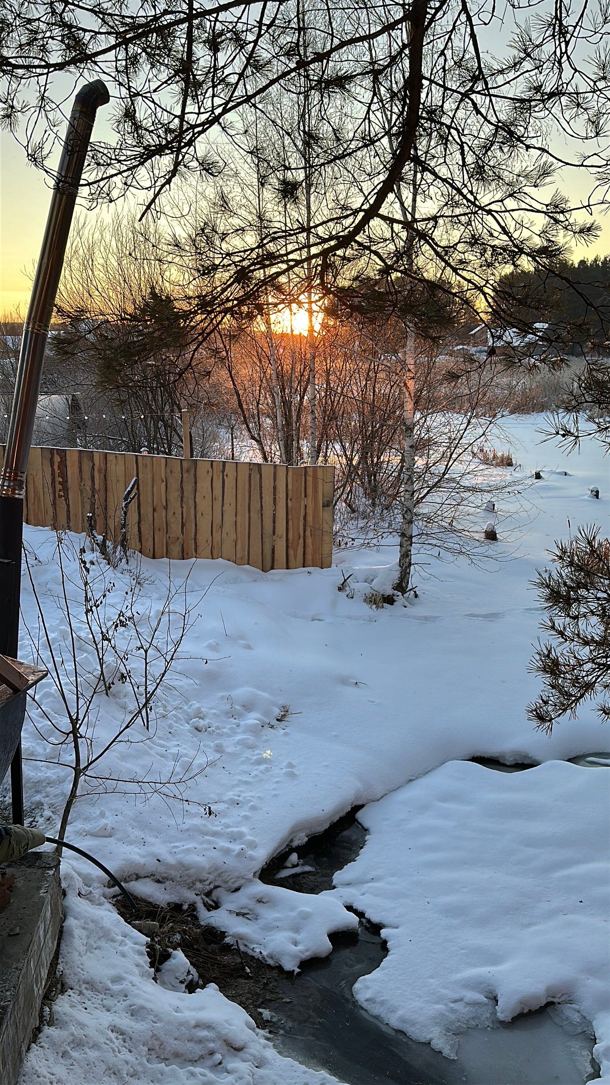 Фото Три Сосны