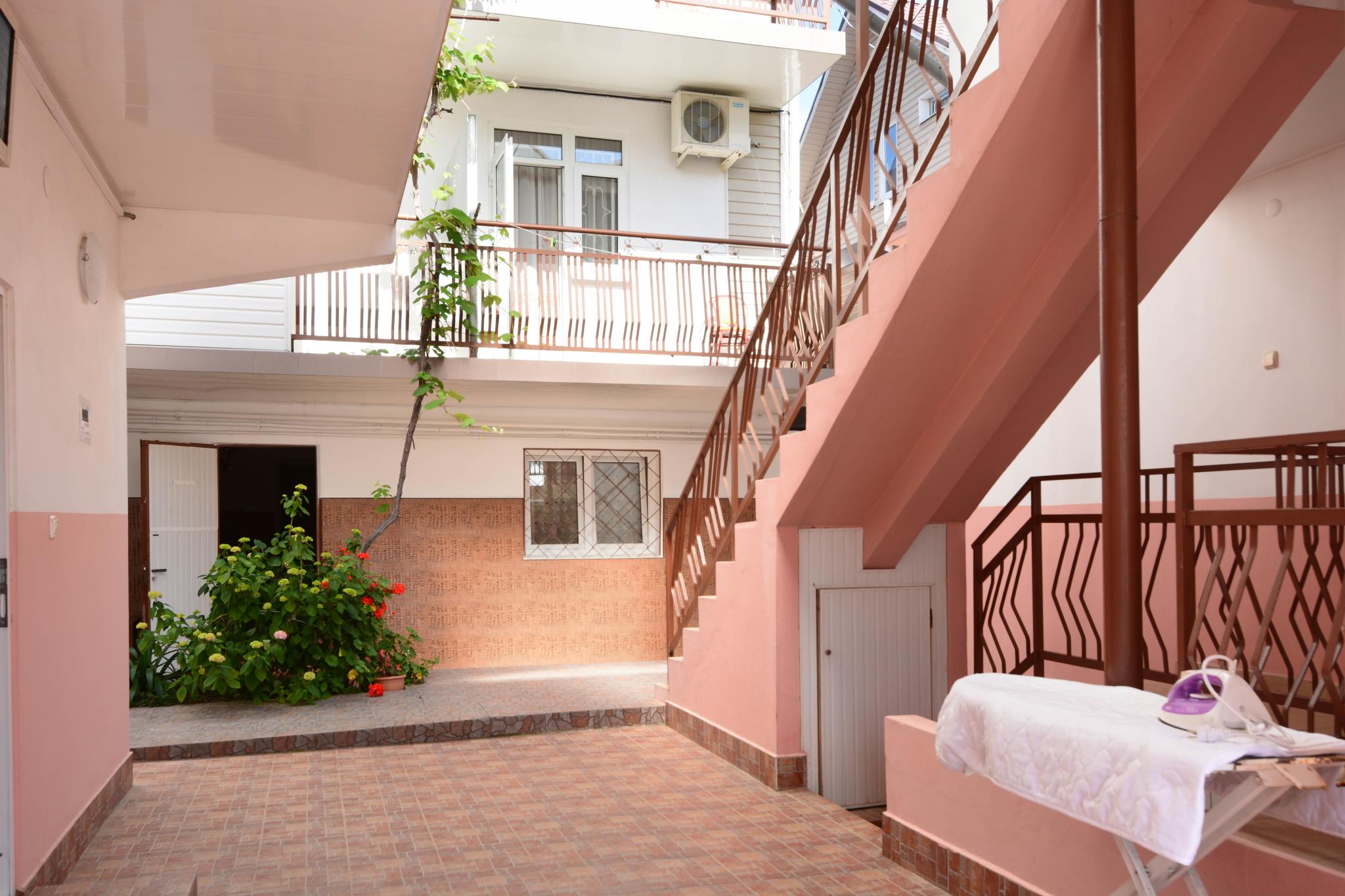 Фото Звёздочка