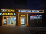 Цветочная база 24 часа (Yeletskaya Street, 17) ، محل زهور