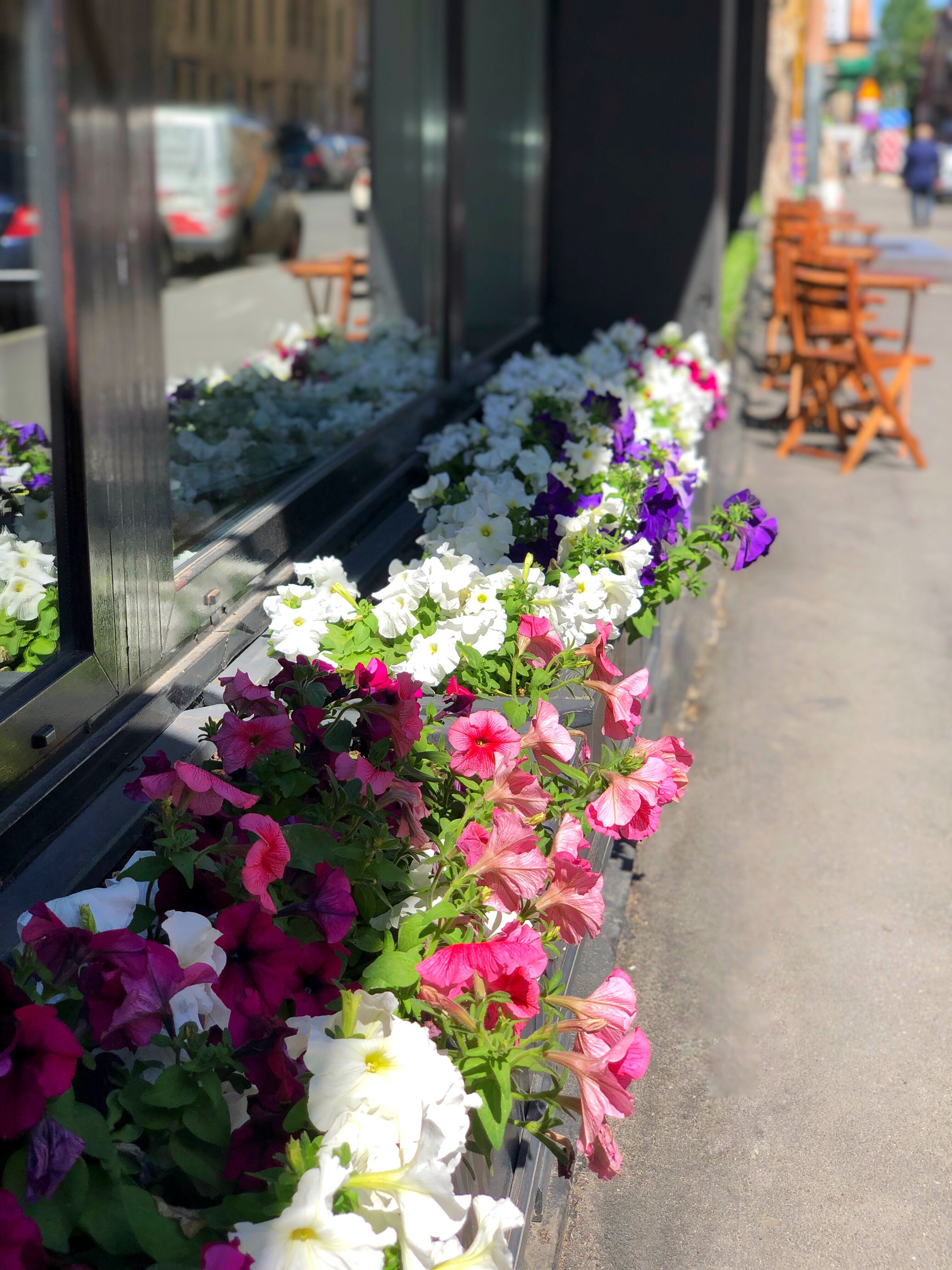 Фото Петервиль