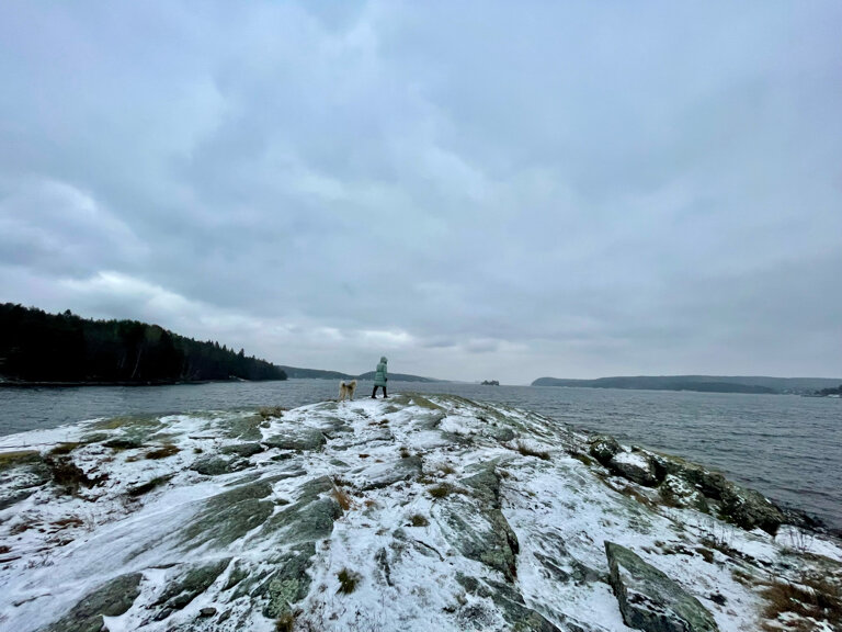 Фото Scandi home