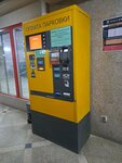 Паркомат (Vaynera Street, 9), parking meter