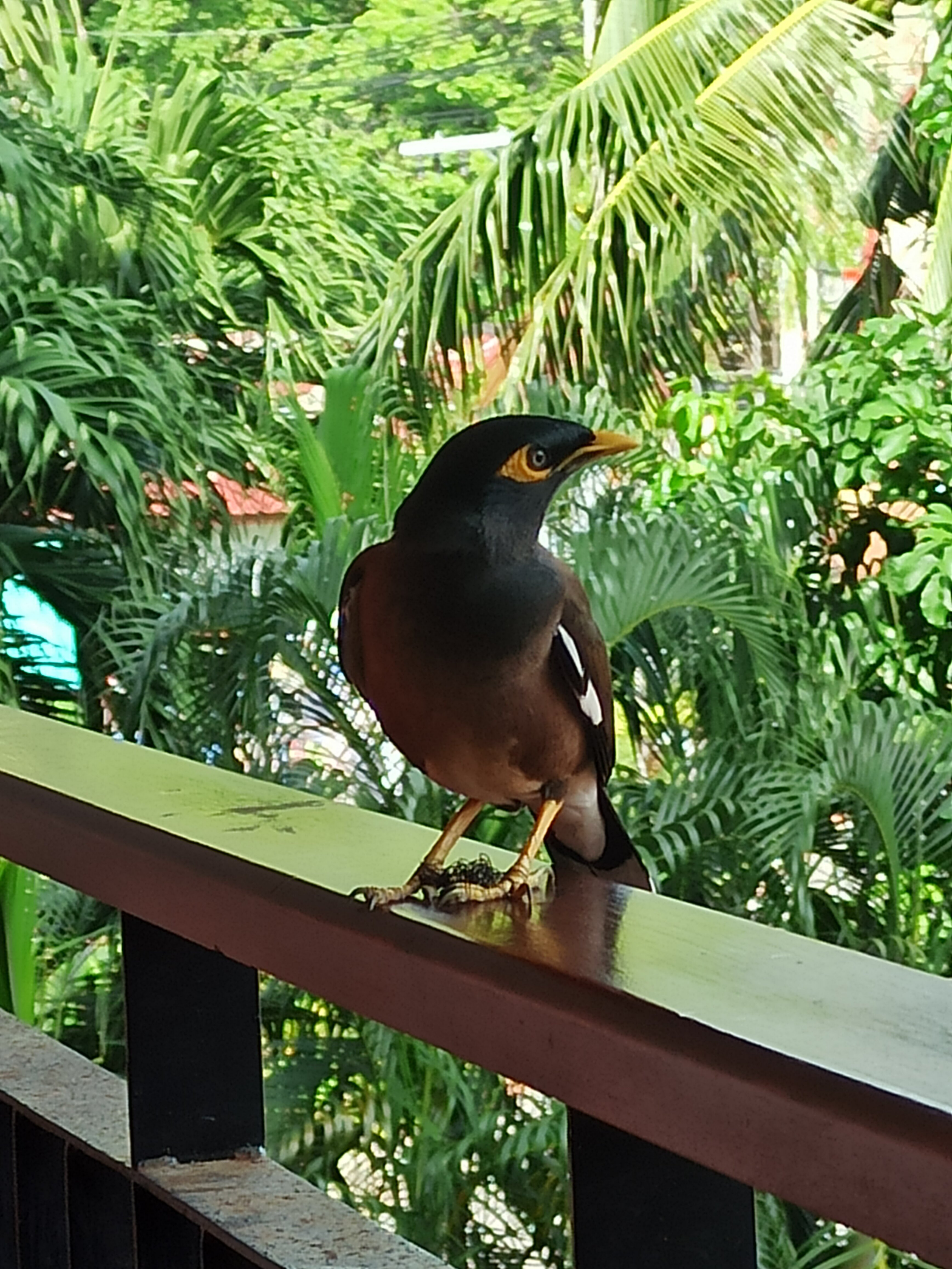 Фото Baan Vanida Garden Resort