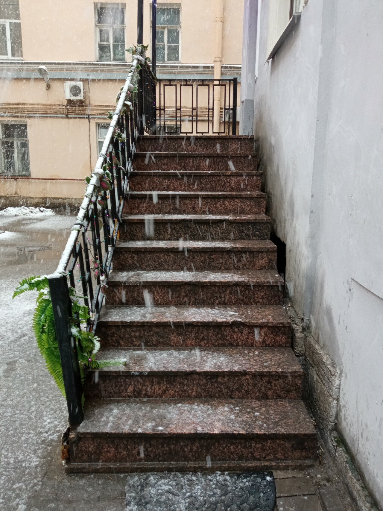 Фото Плюс Питер