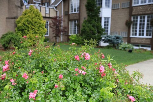 Гостиница Fullerton Manor Inn в Ниагара-Фолс