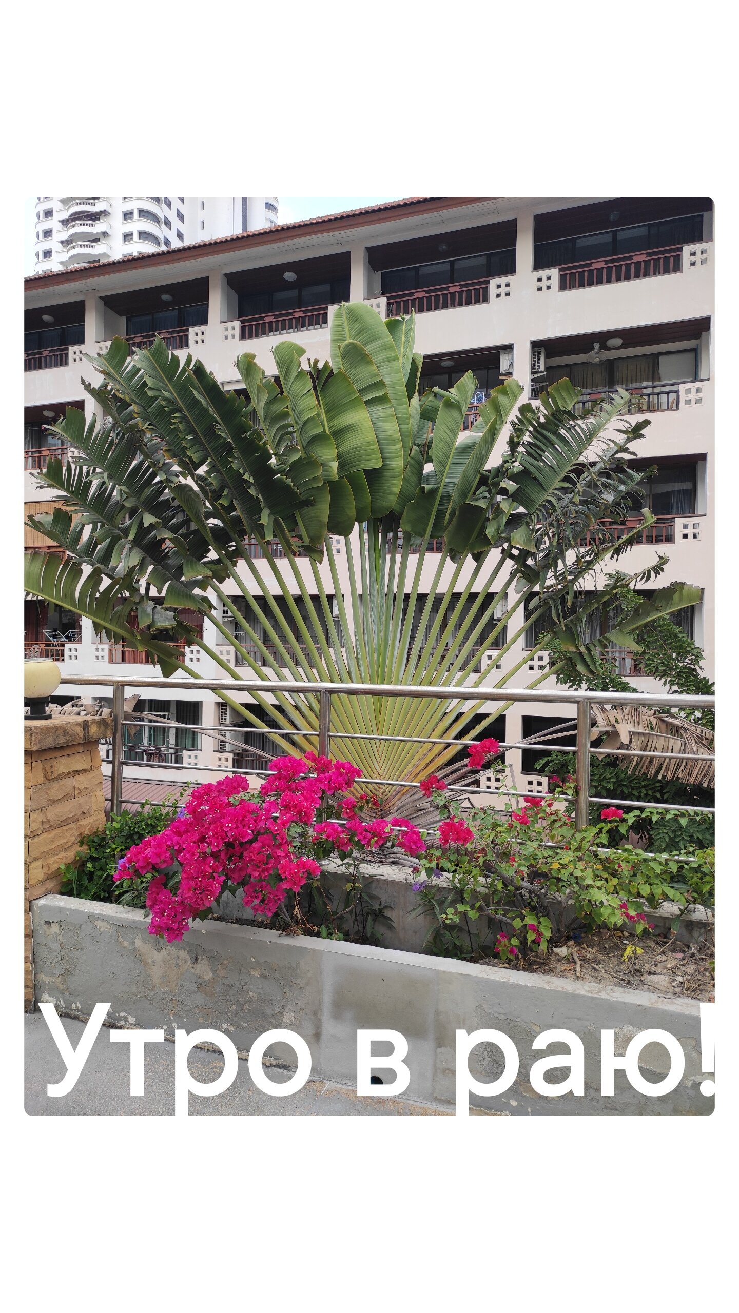 Фото Jomtien Plaza Residence