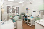 Dantist (Zapadniy District, Kochetova Street, 15к1), dental clinic