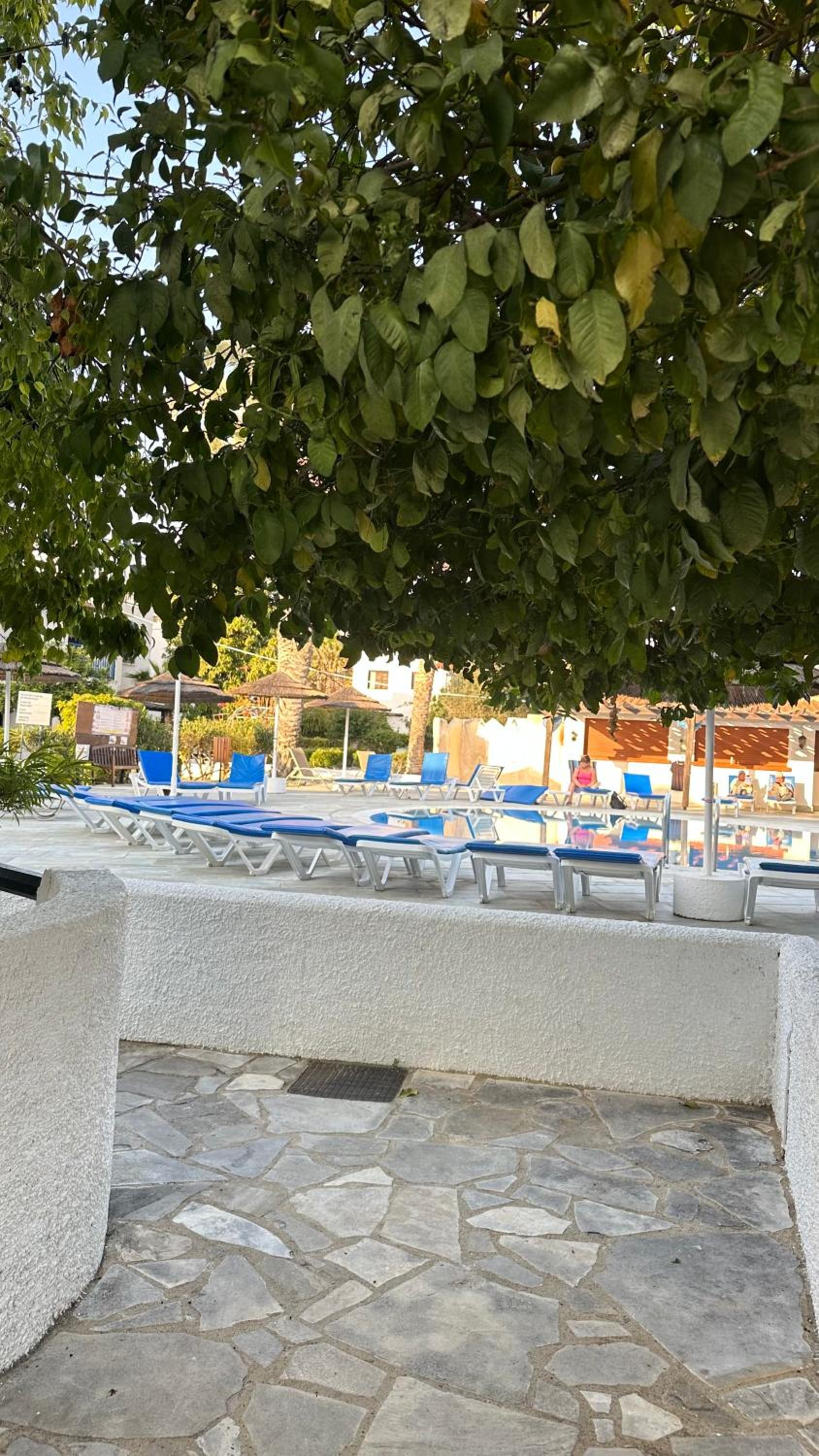 Фото Paphos Gardens Holiday Resort