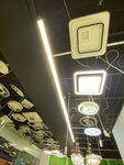 Redigle (Kaluzhskoye Highway, 4с1) ، محلات المصابيح