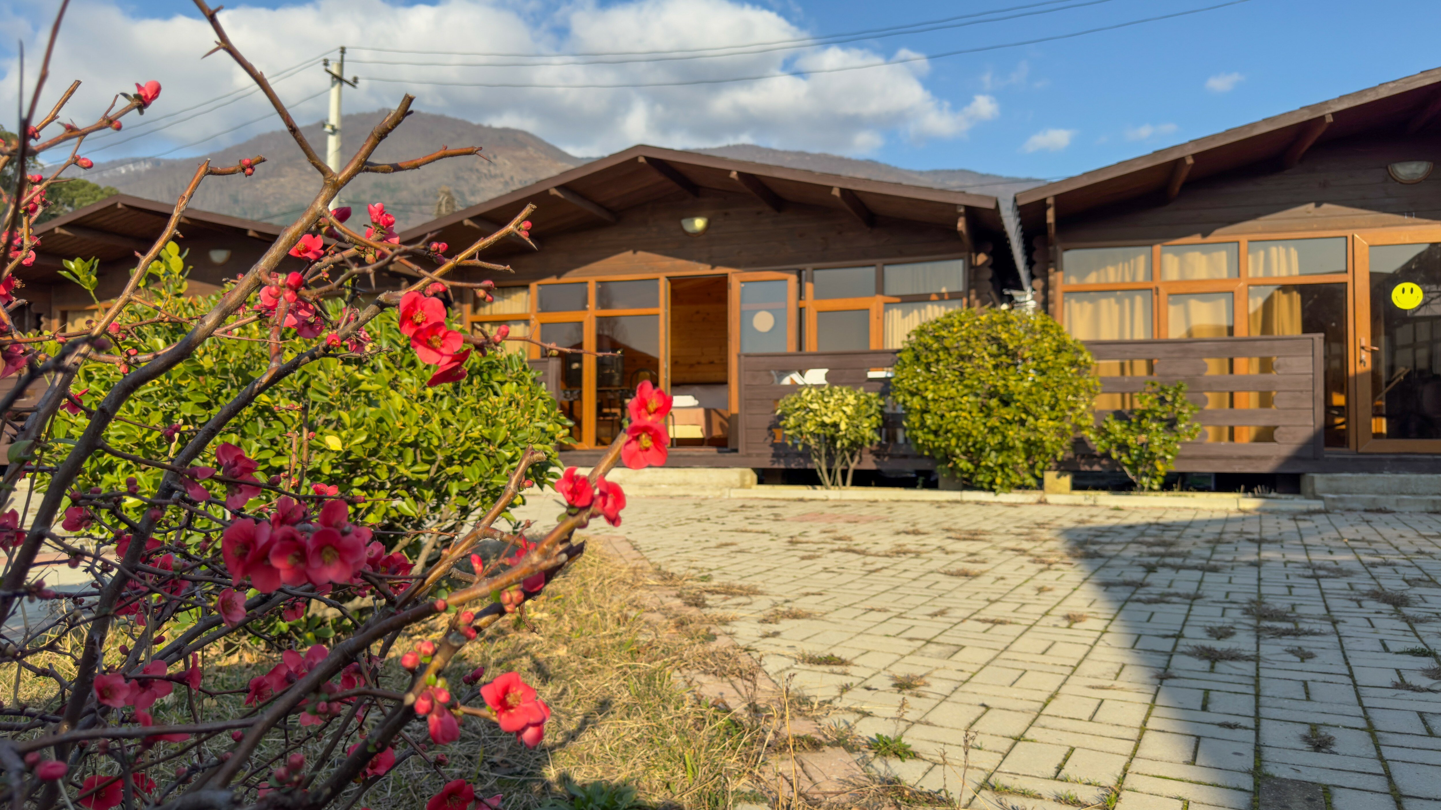 Фото Gudwin Glamp