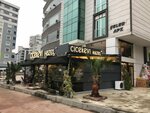 Samsun Flower House Hazel Atakum (Samsun, Atakum, Abdullah Gül Bul., 35B), flower shop