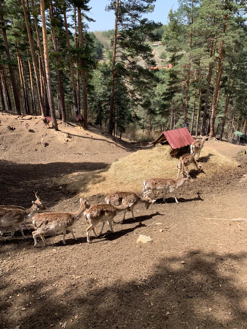 Фото Aurora Resort & SPA