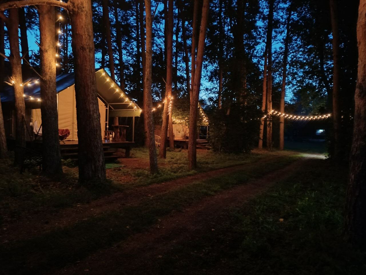 Фото Лесная семья