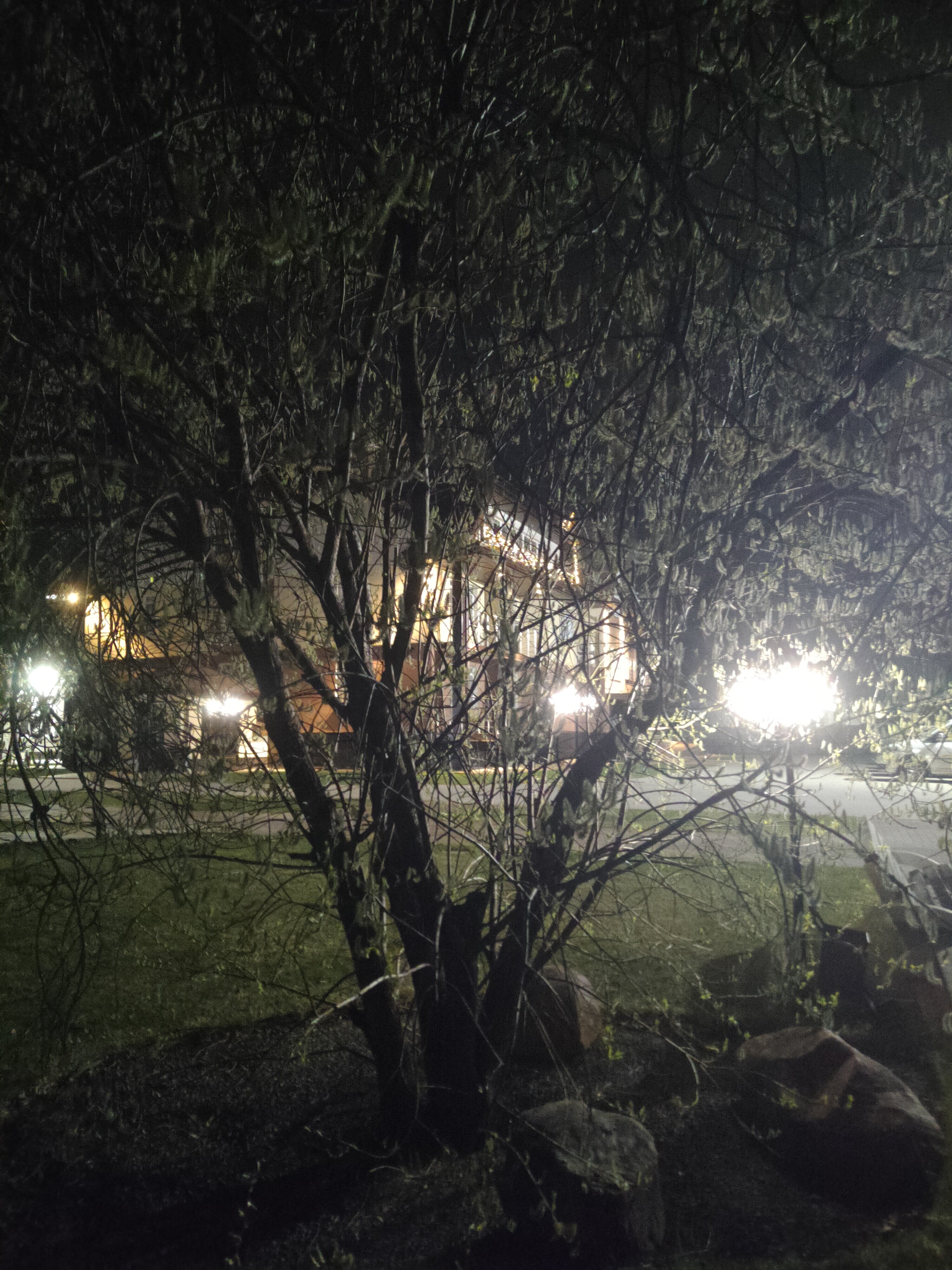 Фото Колибри