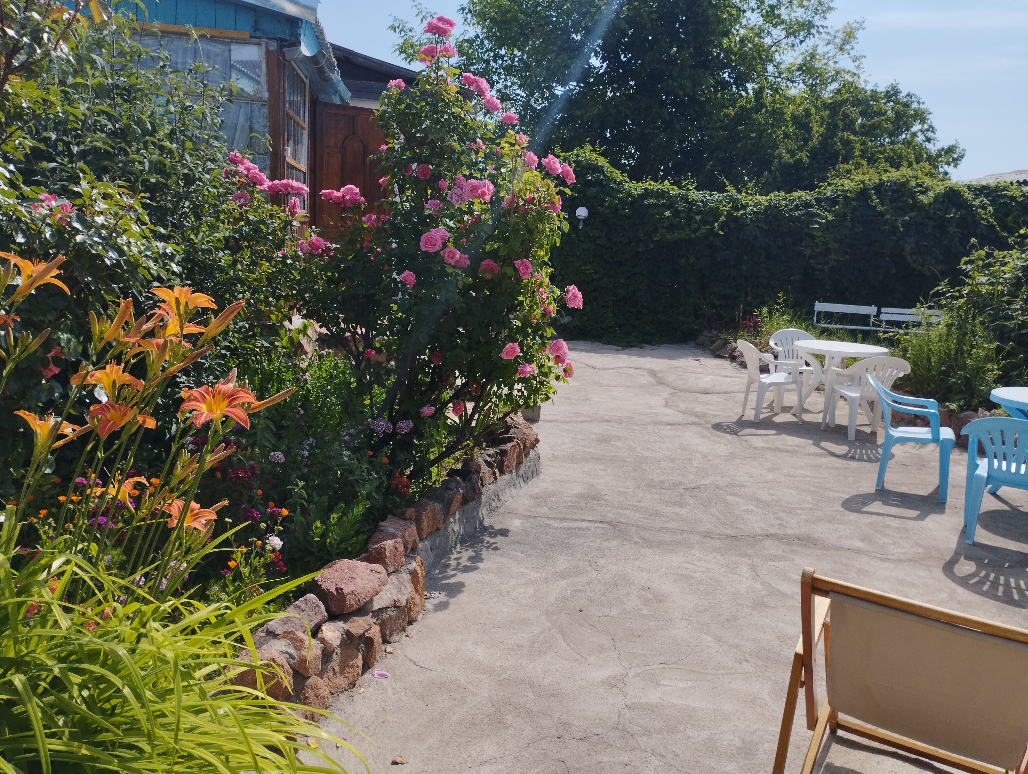 Фото отеля 5