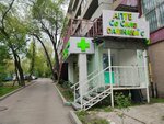 Аптека Со Склада (ул. Алишера Навои, 328), аптека в Алматы