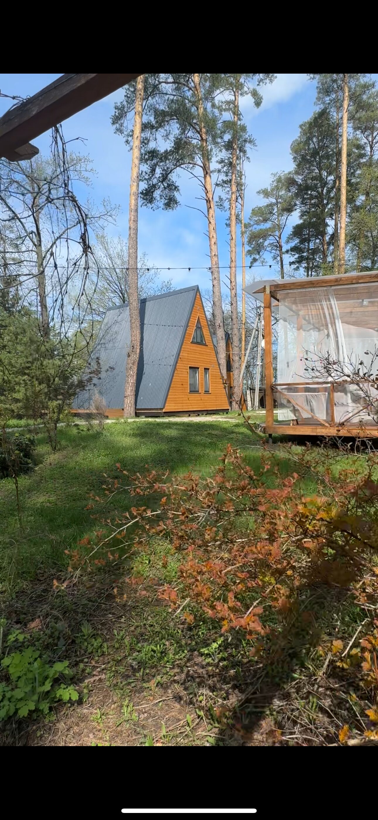 Фото Борвиха