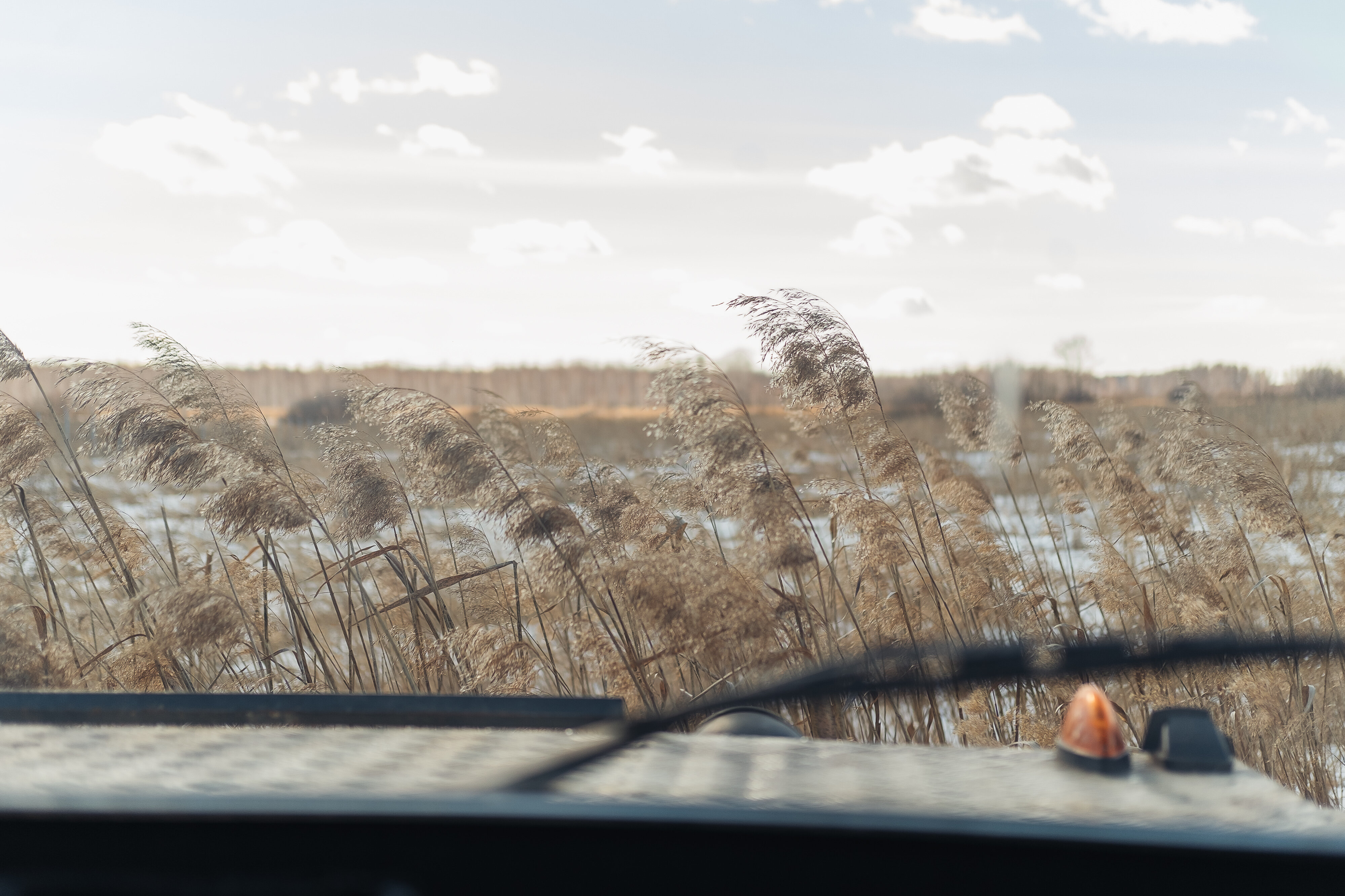 Фото Эко Усадьба Охотничья заимка