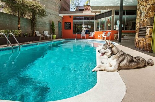 Внешний вид отеля Staypineapple, University Inn, University District Seattle в Сиэтле, фото 5