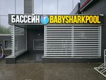 BabySharkPool (Dmitrovskoye Highway, 85) ، حمام السباحة