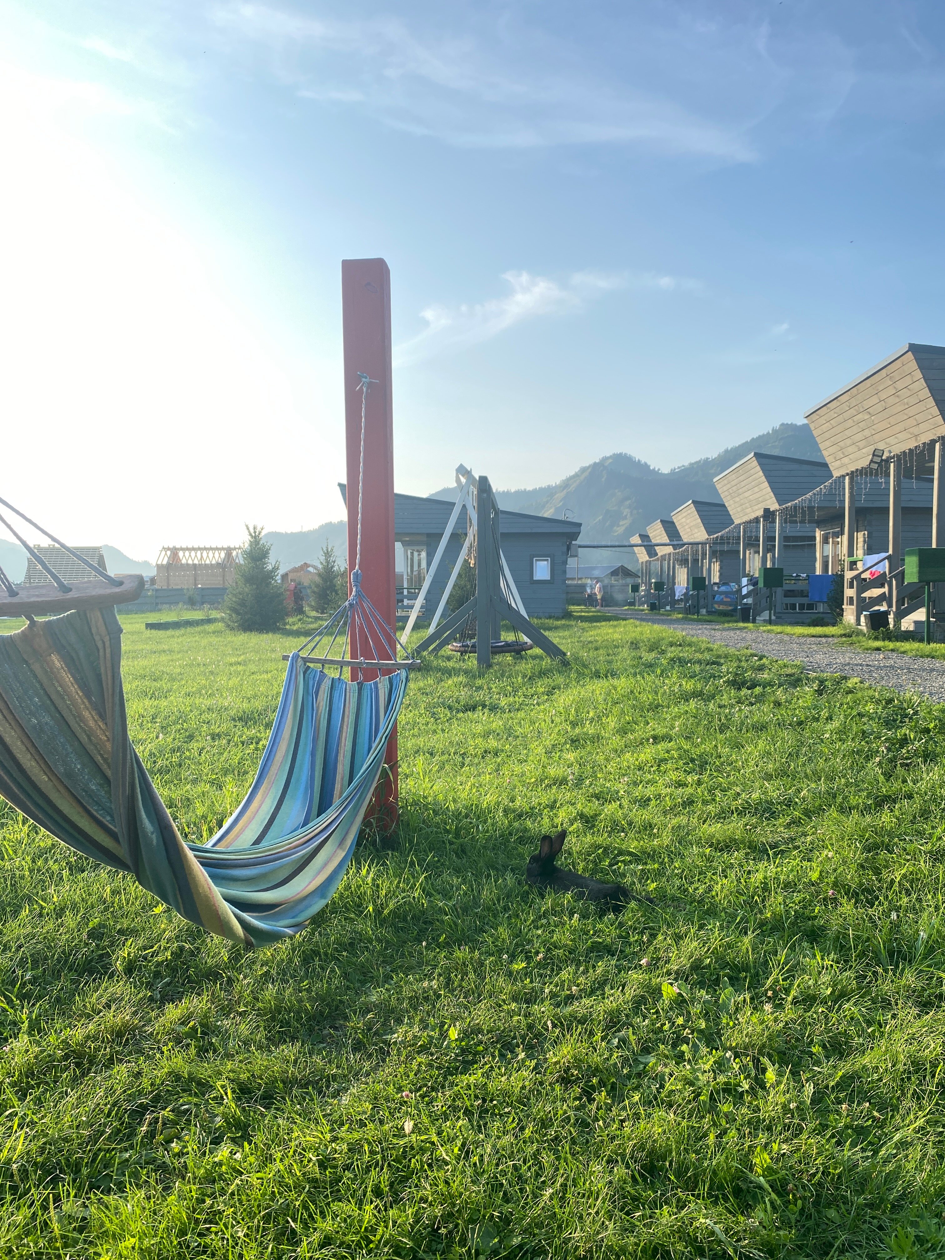 Фото Алтай Лотос