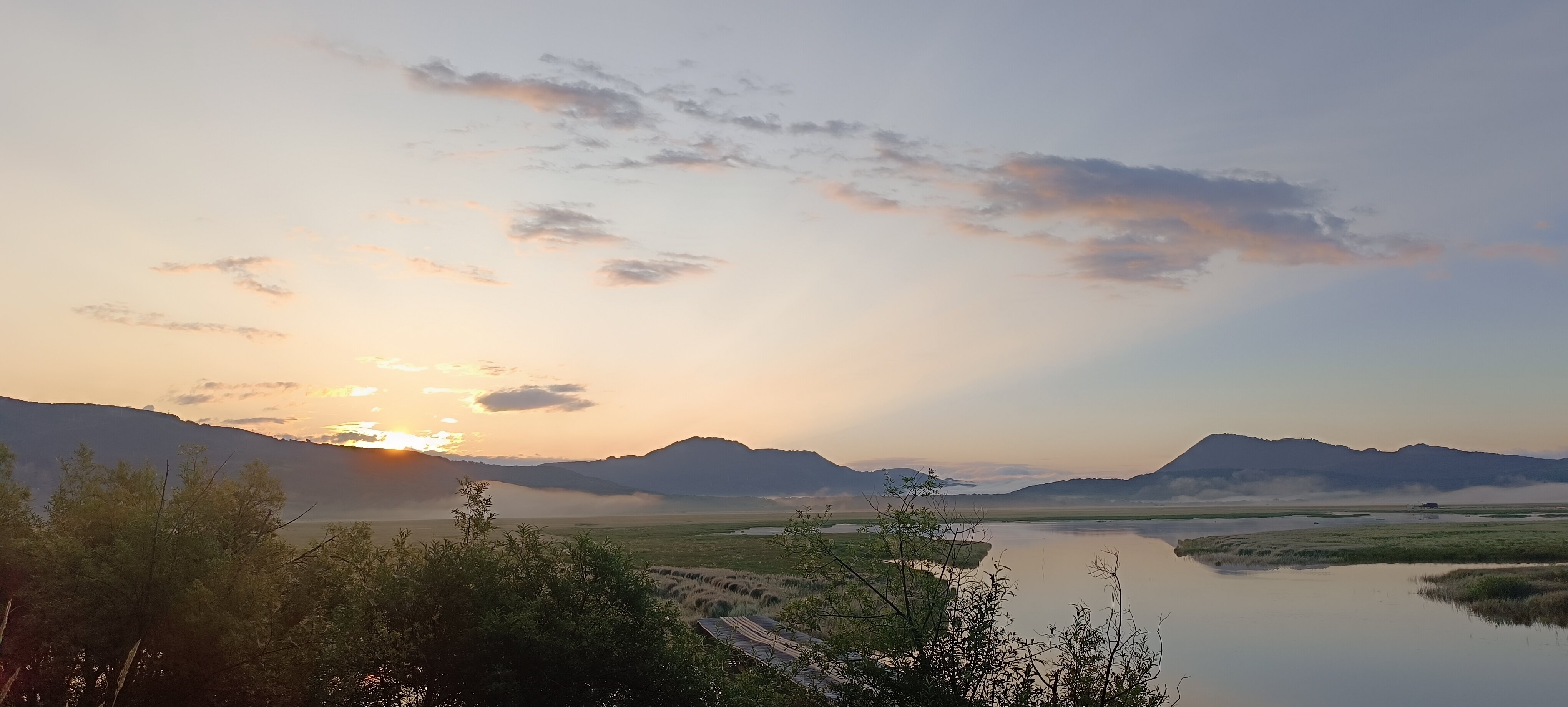 Фото Солнечная