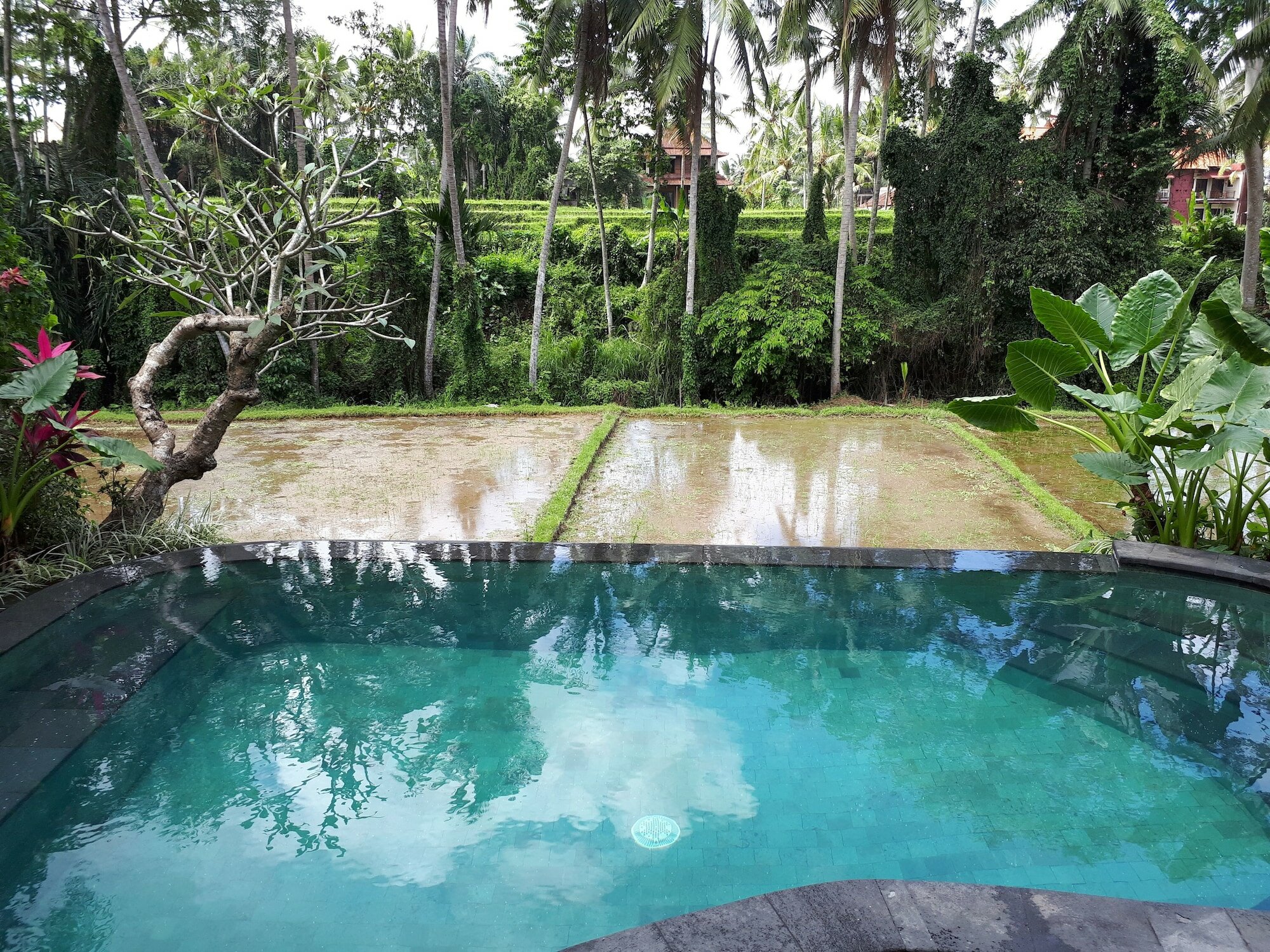 Фото Villa Kirani Ubud by Mahaputra-chse Certified