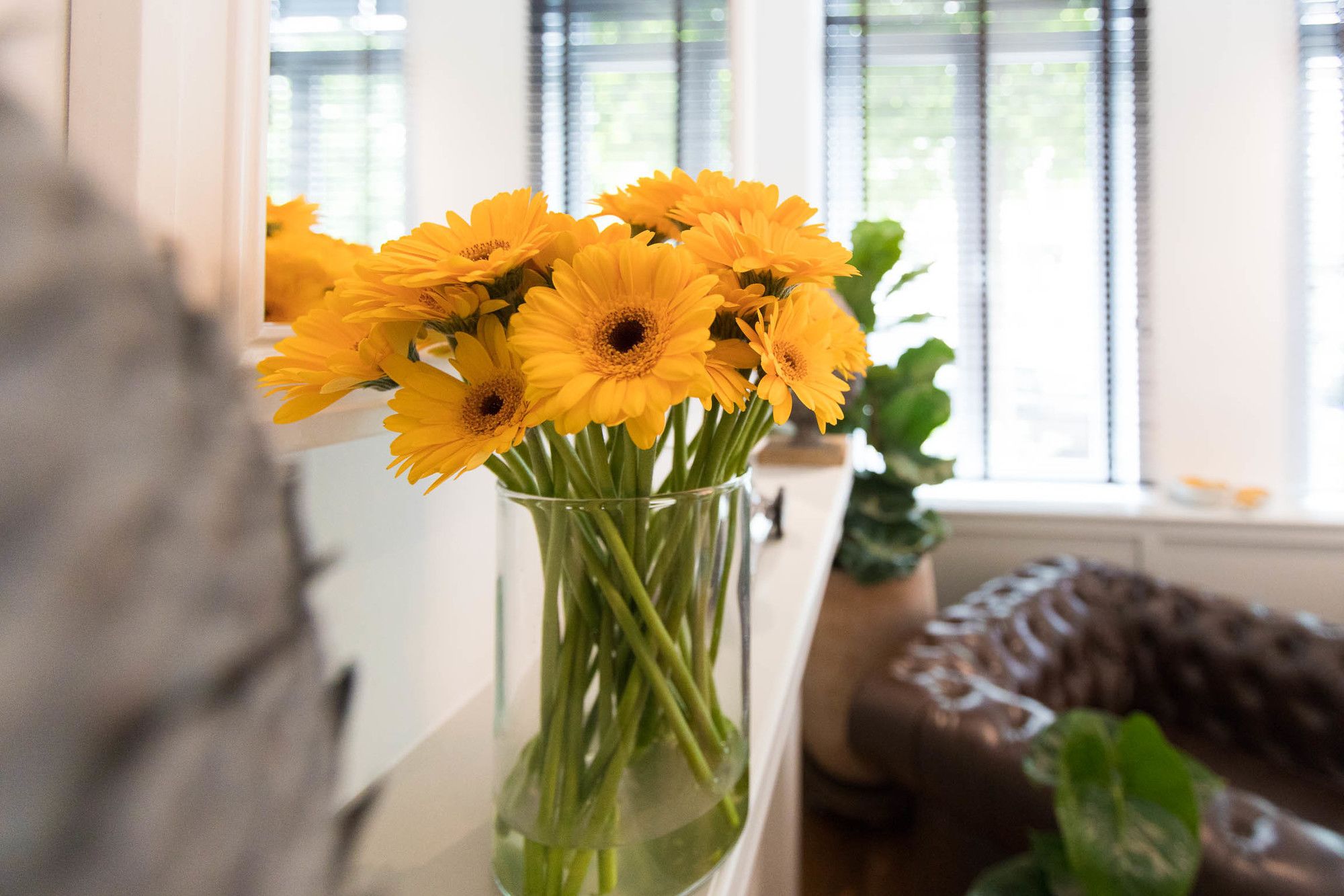 Фото Boutique Hotel Maison Emile