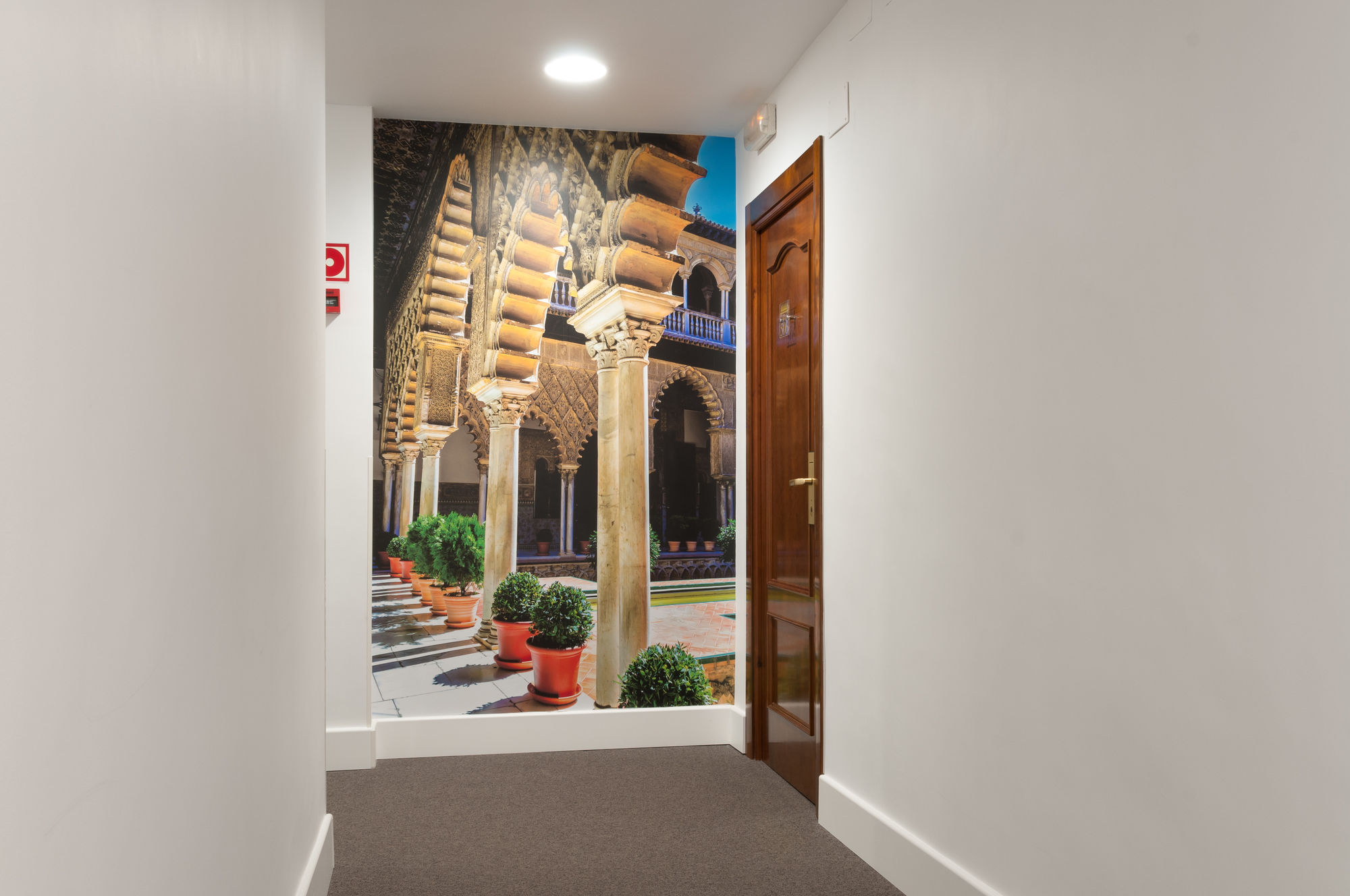 Фото Hotel Alcazar