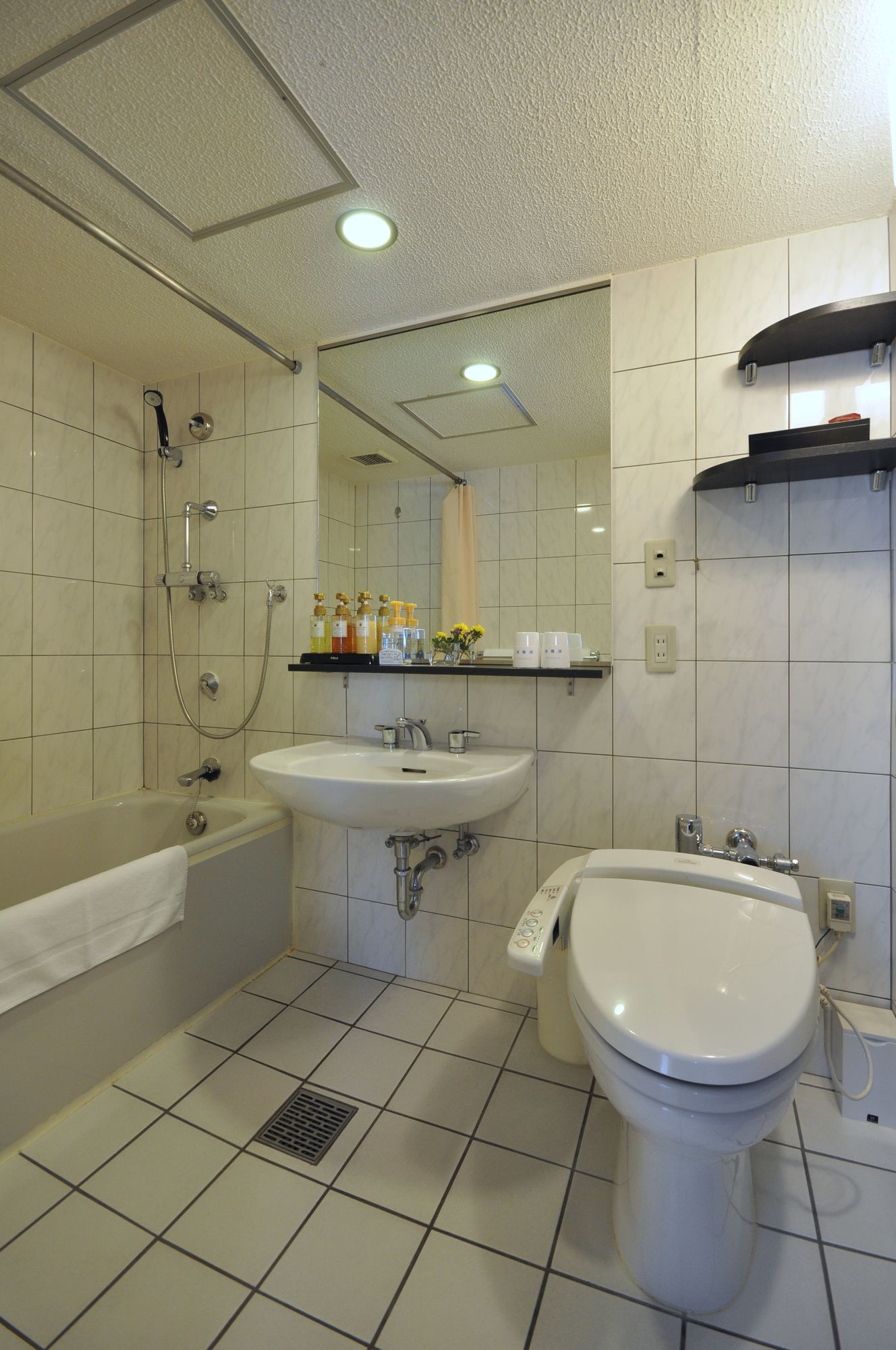 Фото Hotel Ichiei