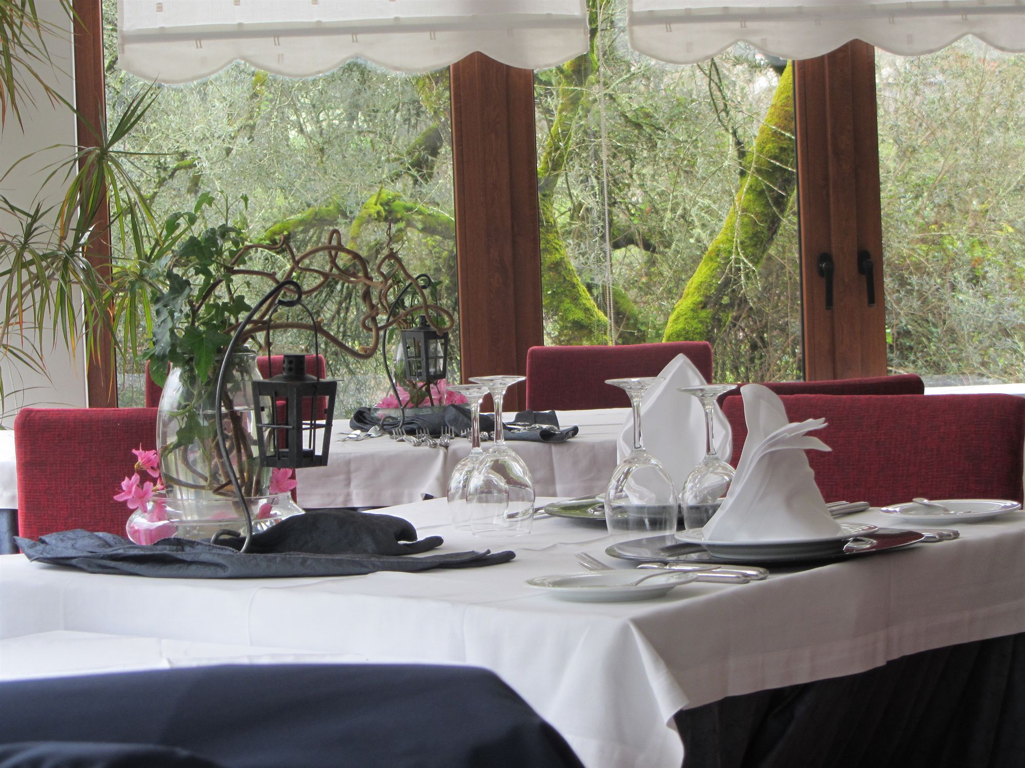 Фото Hotel Rural Maria da Fonte