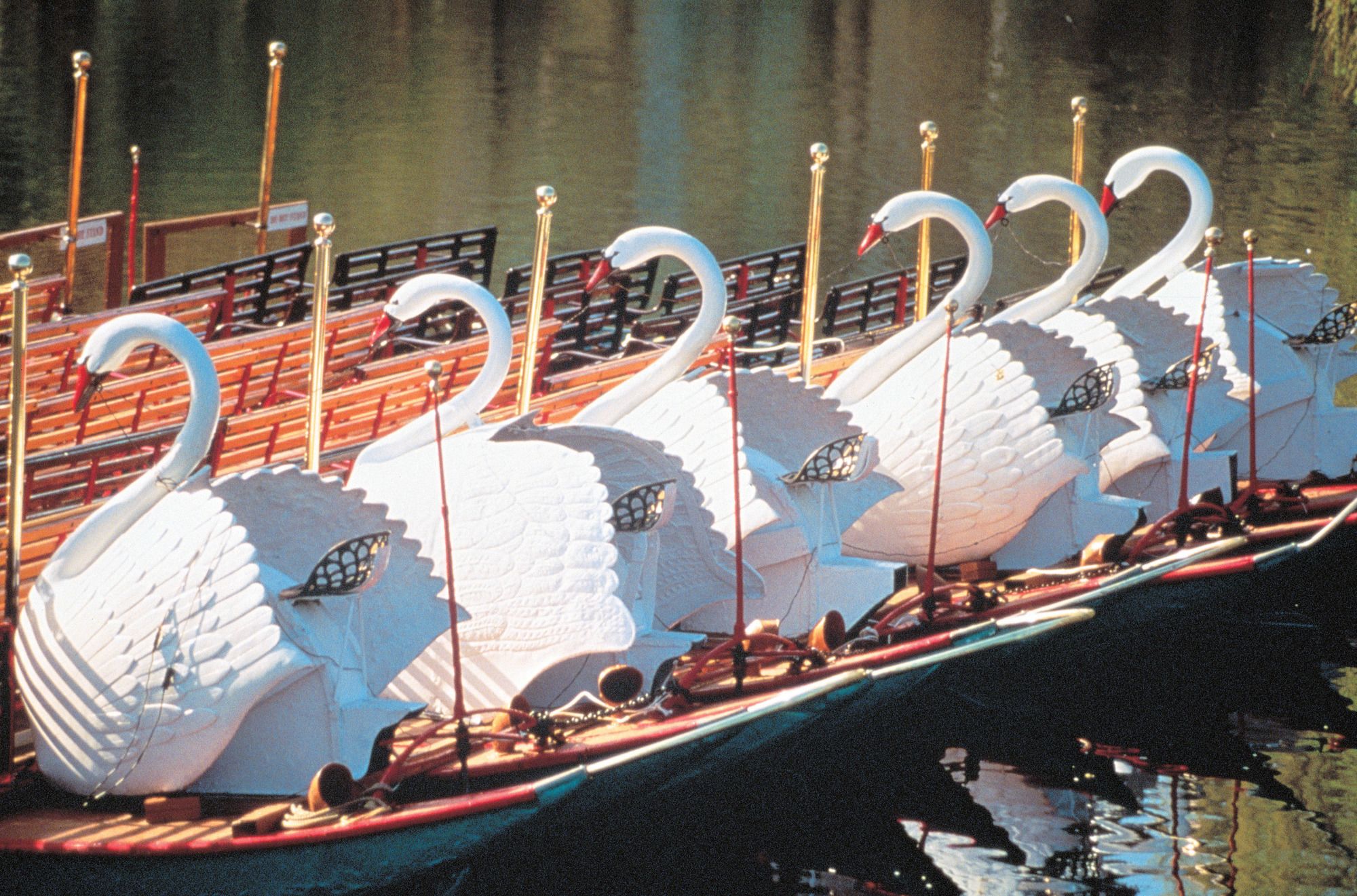 Фото Residence Inn by Marriott Boston Downtown/Seaport