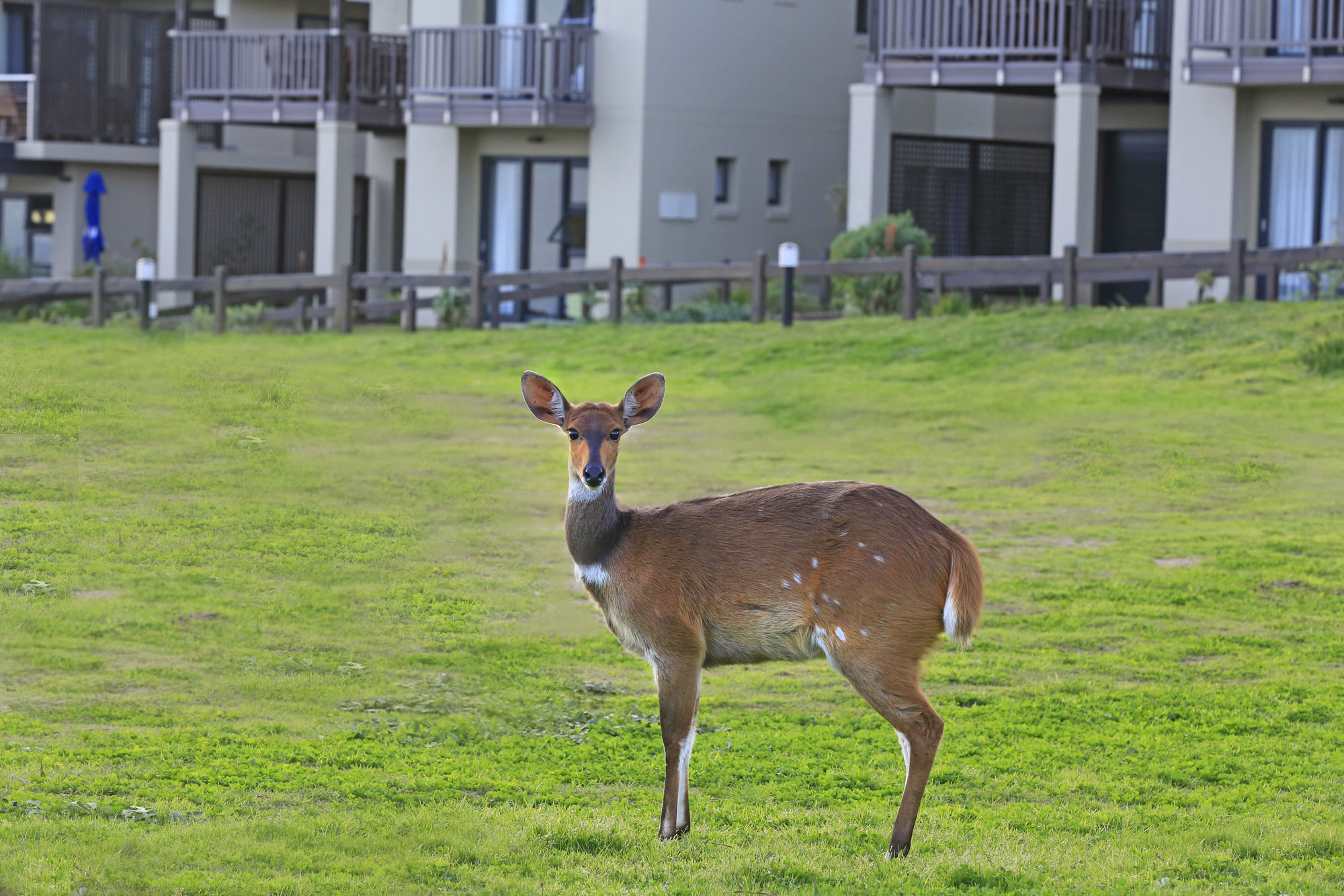 Фото Brenton Haven Beachfront Resort