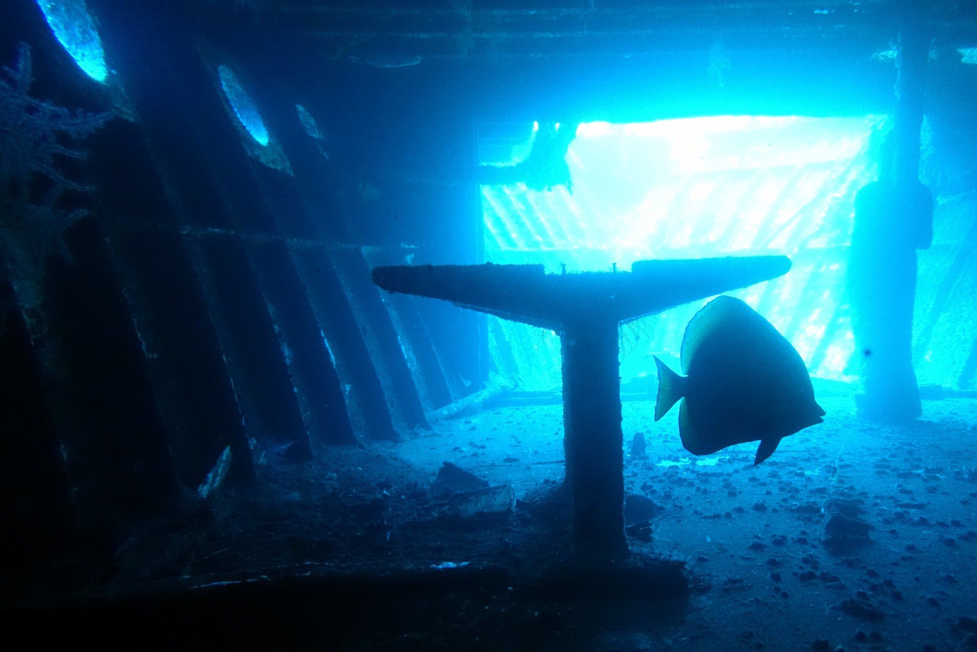 Фото Liberty Dive Resort