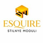 Esquire (Moskovskaya Street, 46к1), compañía de construcción