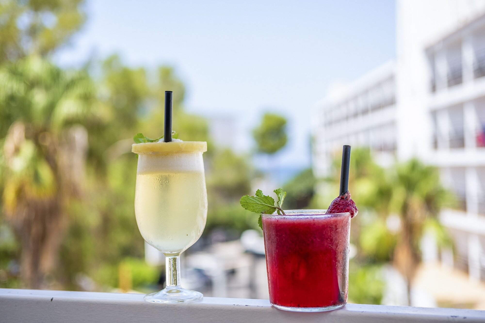 Фото The Palm Star Ibiza - Adults Only