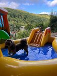 Zoosanatoriy (Krymskaya Street, 22к2), pet hotel