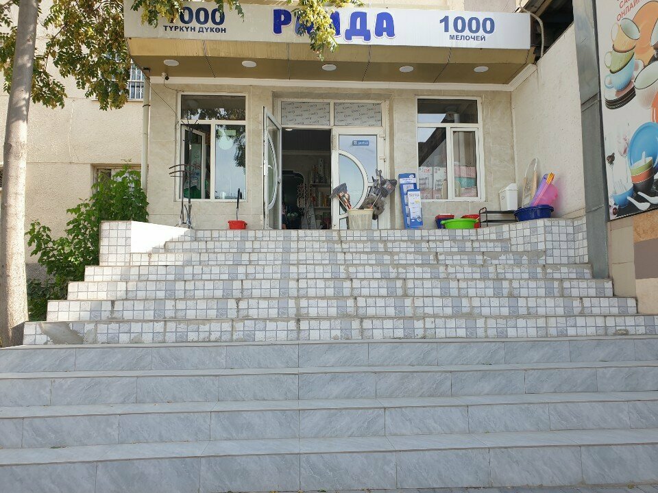Household goods and chemicals shop Raida, Osh, photo