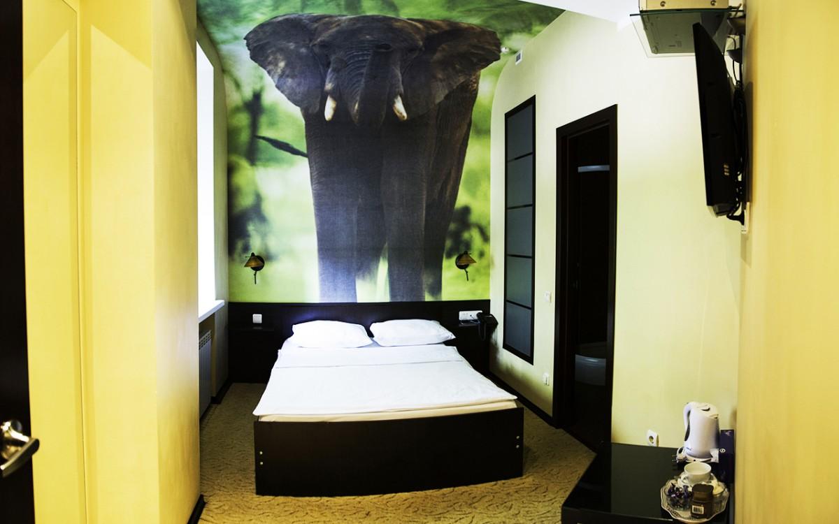 Фото Яблоки