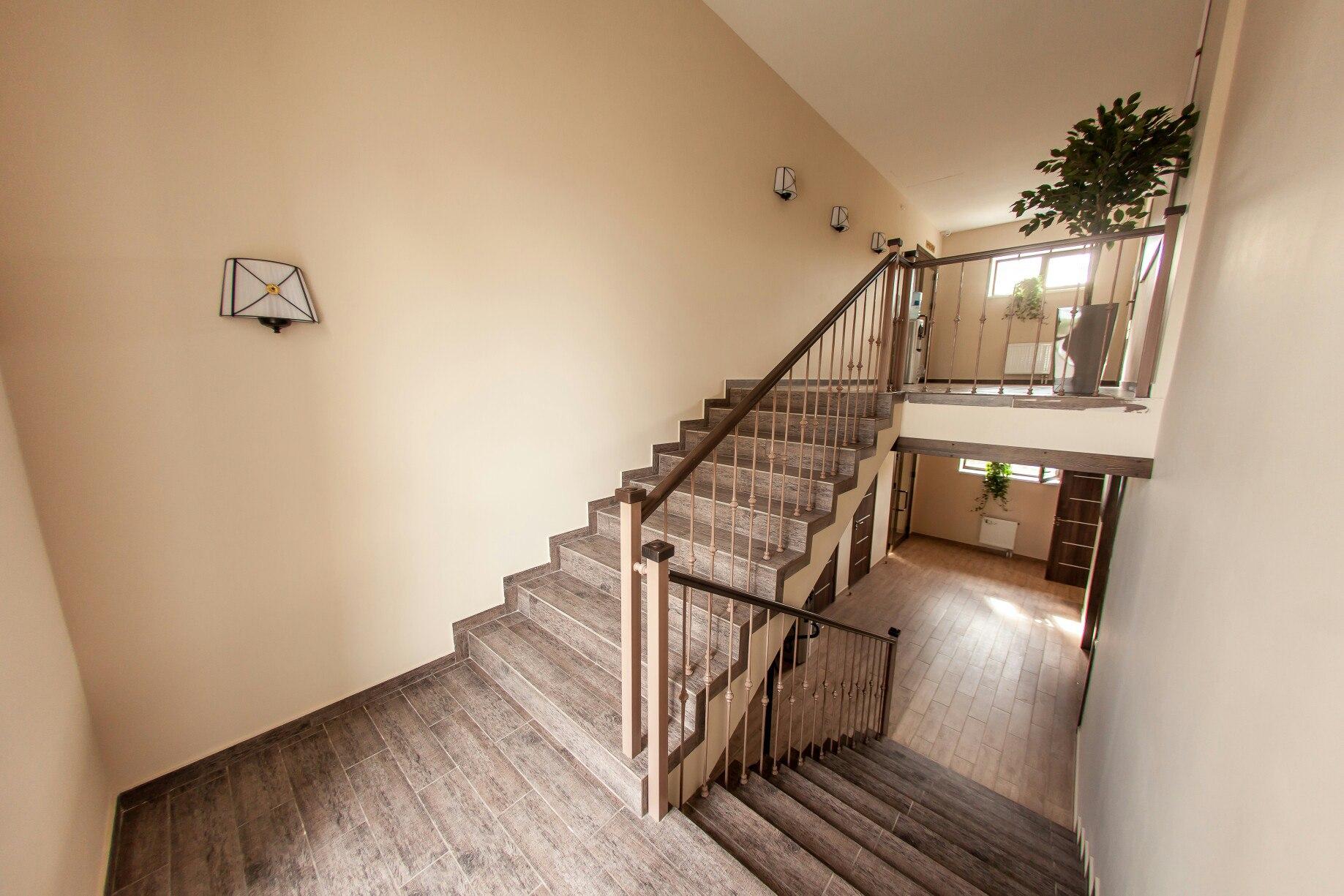 Фото Прованс