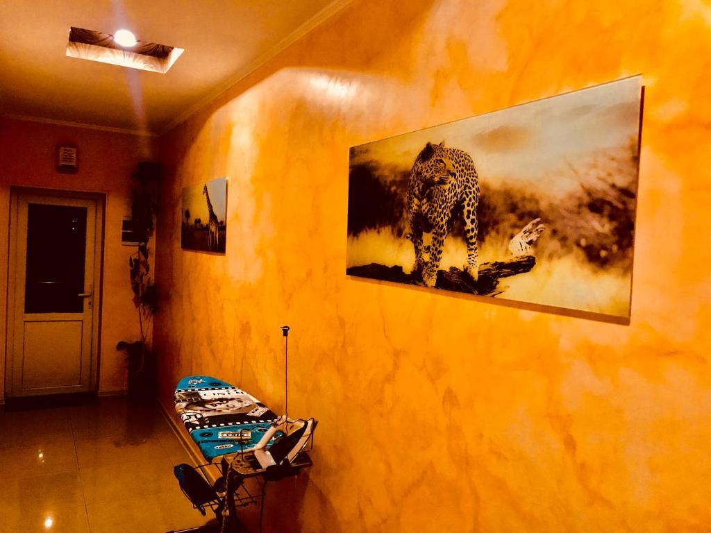 Фото Стрекоза