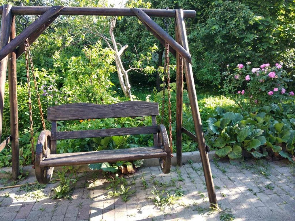 Фото Золотая Орхидея